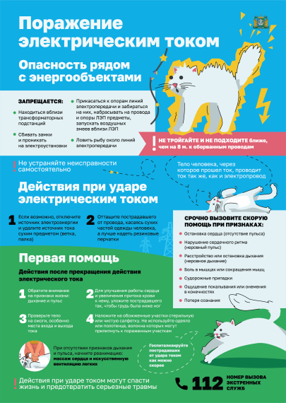Риск для жизни и здоровья при нахождении на объектах электрохозяйства (трансформаторные подстанции, опоры электропередач и т.п.).